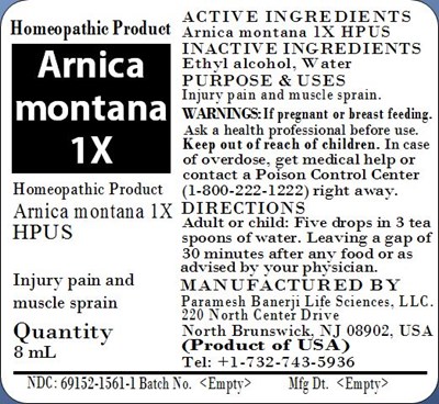 Arnica montana 1X.jpg Arnica montana 1X - Arnica montana 1X